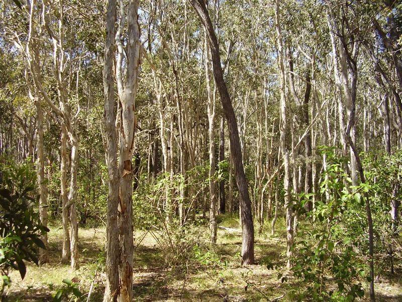 Baffle Creek QLD 4674