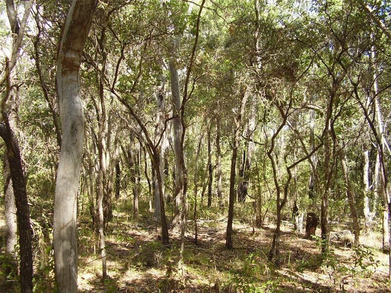 Baffle Creek QLD 4674