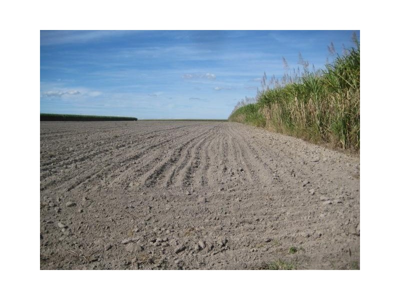 449 Quinns Road, Moorland QLD 4670