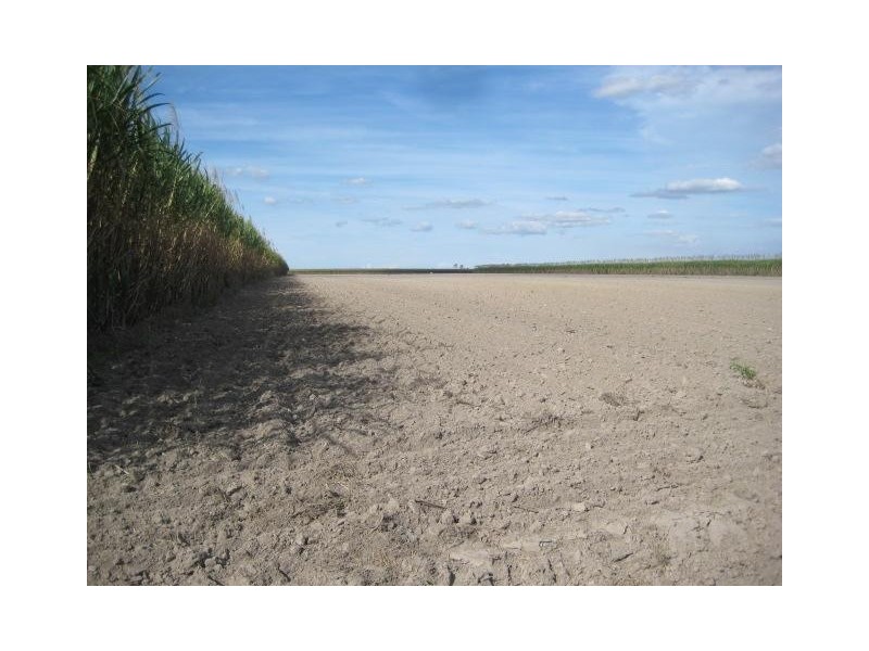 449 Quinns Road, Moorland QLD 4670