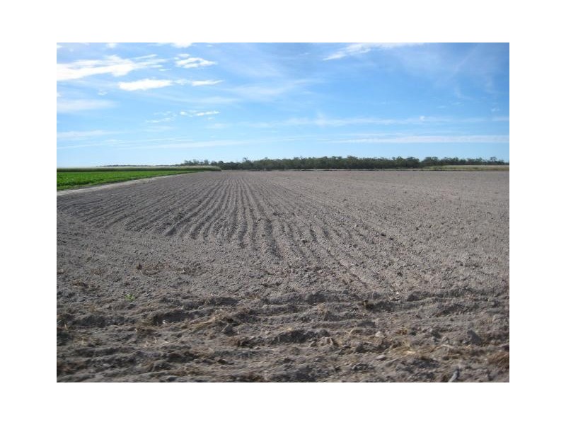 449 Quinns Road, Moorland QLD 4670