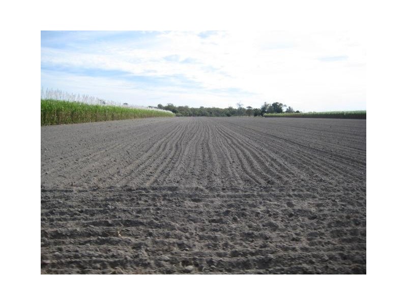 449 Quinns Road, Moorland QLD 4670