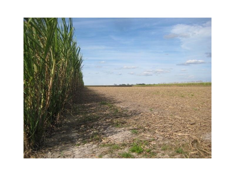 449 Quinns Road, Moorland QLD 4670