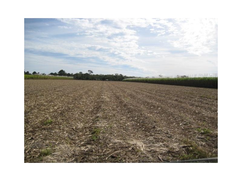 449 Quinns Road, Moorland QLD 4670