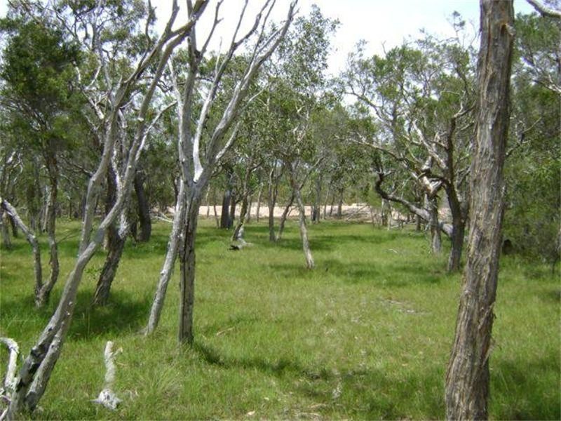 Deepwater QLD 4674