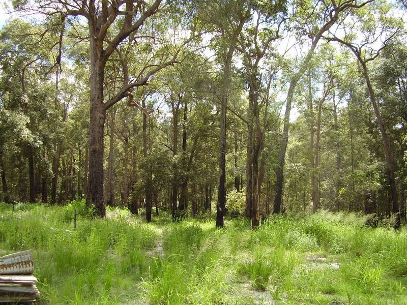 1595 Tableland Road, Mount Maria QLD 4674