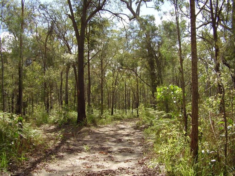 1595 Tableland Road, Mount Maria QLD 4674