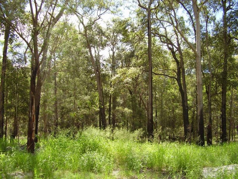 1595 Tableland Road, Mount Maria QLD 4674