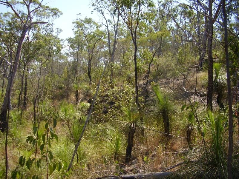 1595 Tableland Road, Mount Maria QLD 4674