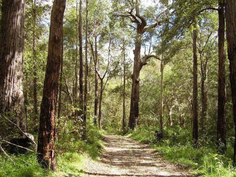1595 Tableland Road, Mount Maria QLD 4674