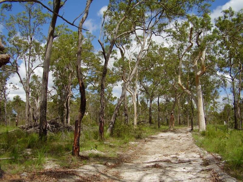 1595 Tableland Road, Mount Maria QLD 4674