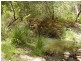 1595 Tableland Road, Mount Maria QLD 4674
