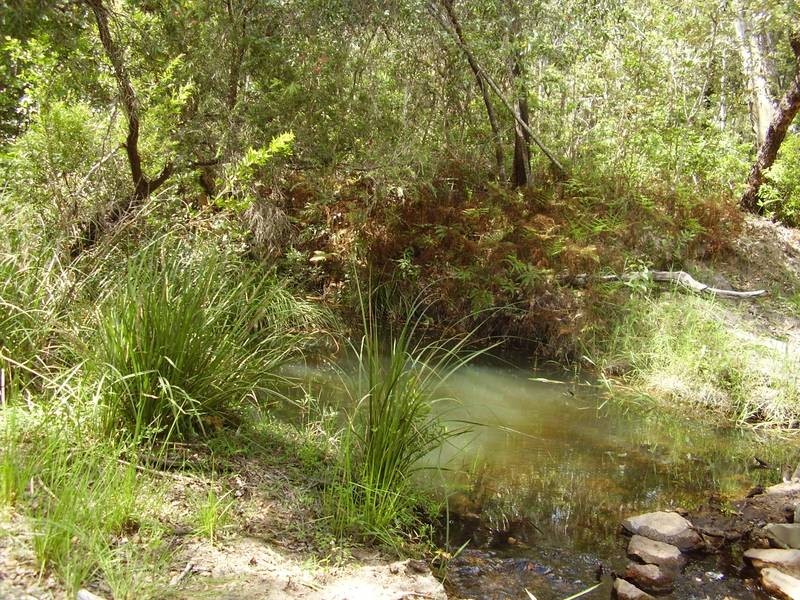 1595 Tableland Road, Mount Maria QLD 4674