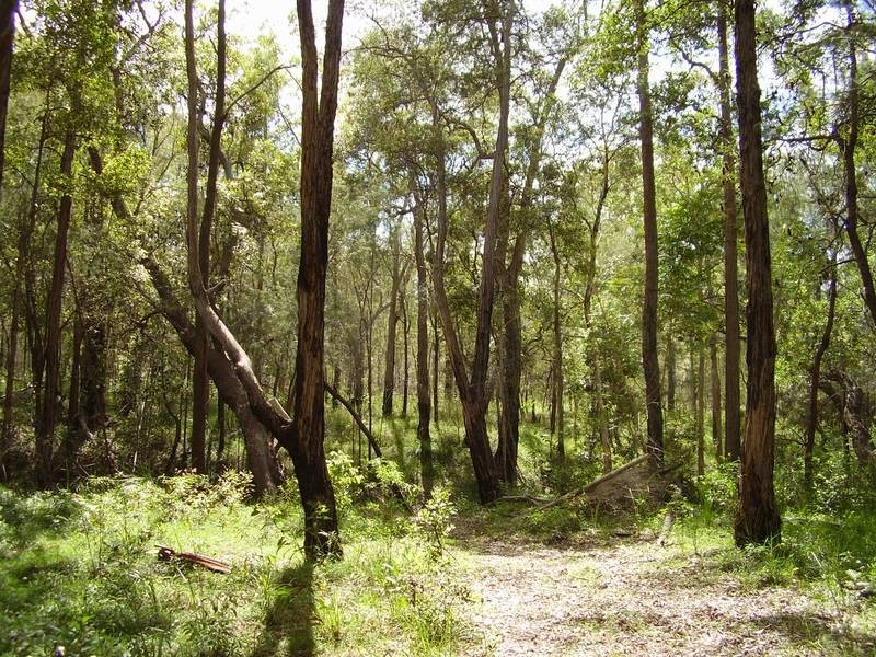 1595 Tableland Road, Mount Maria QLD 4674