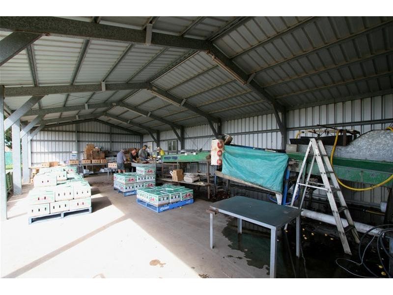 Moore Park Beach QLD 4670