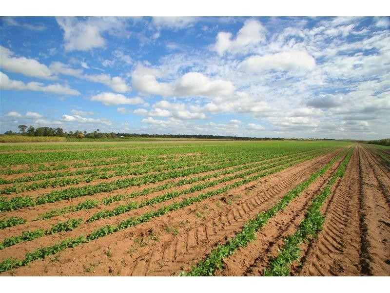 Moore Park Beach QLD 4670