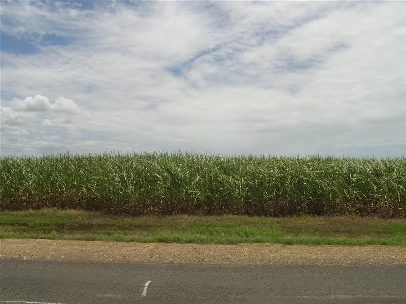Moore Park Beach QLD 4670