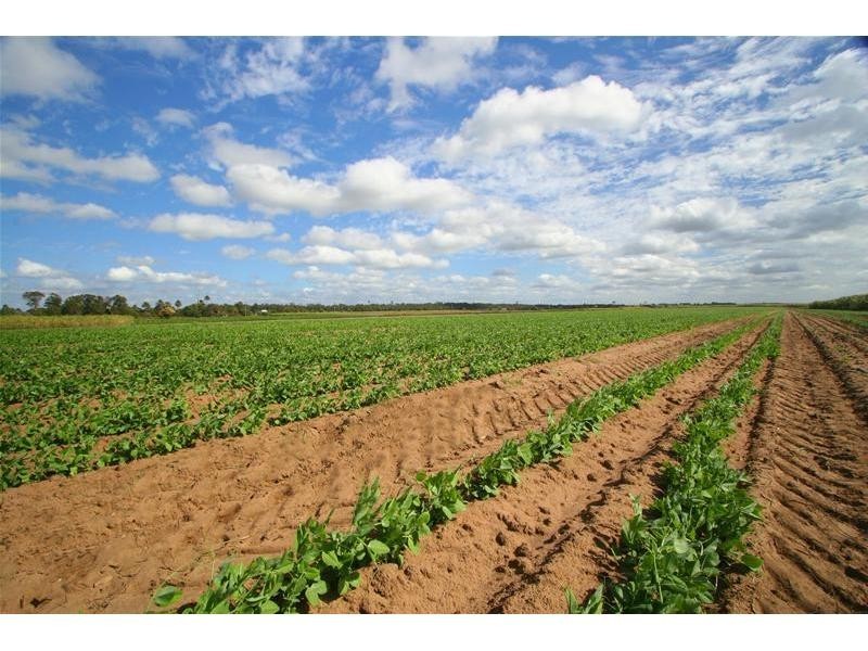 Moore Park Beach QLD 4670
