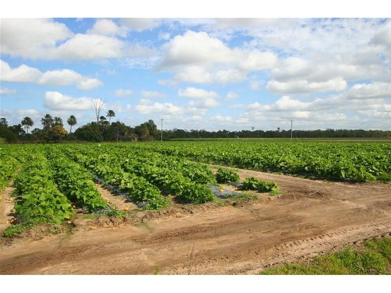 Moore Park Beach QLD 4670
