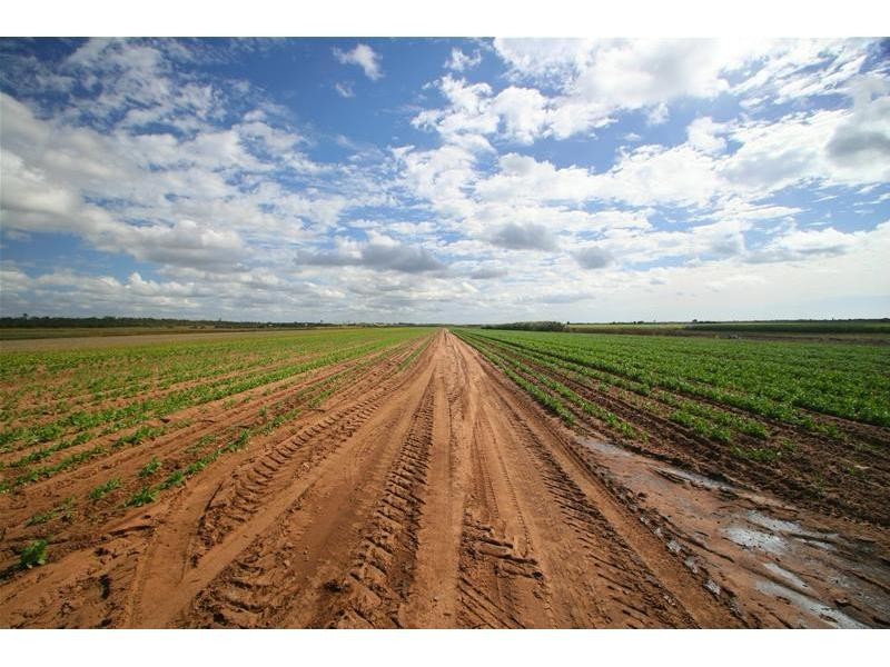 Moore Park Beach QLD 4670