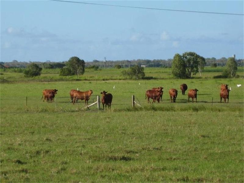 Moore Park Beach QLD 4670