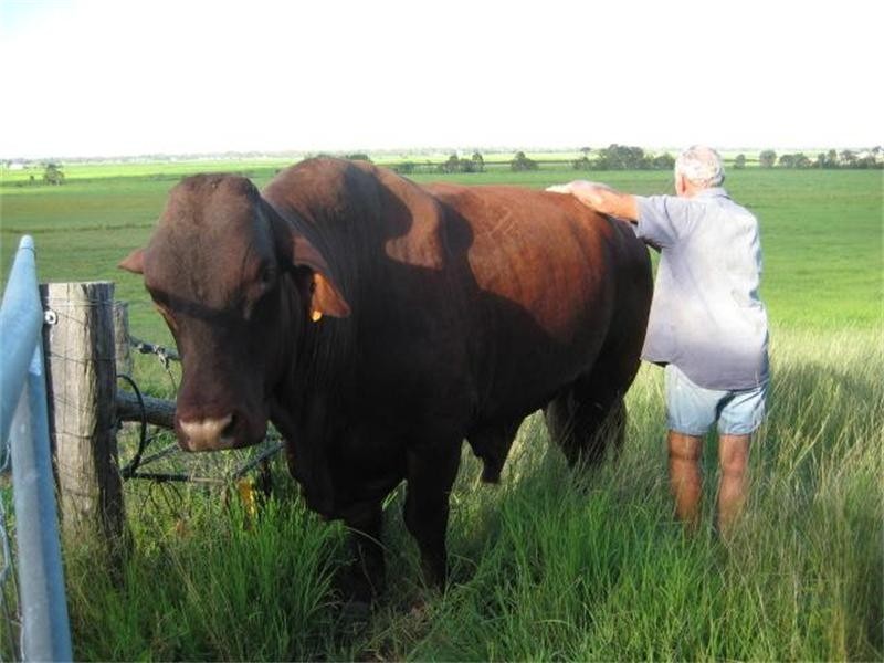Moore Park Beach QLD 4670
