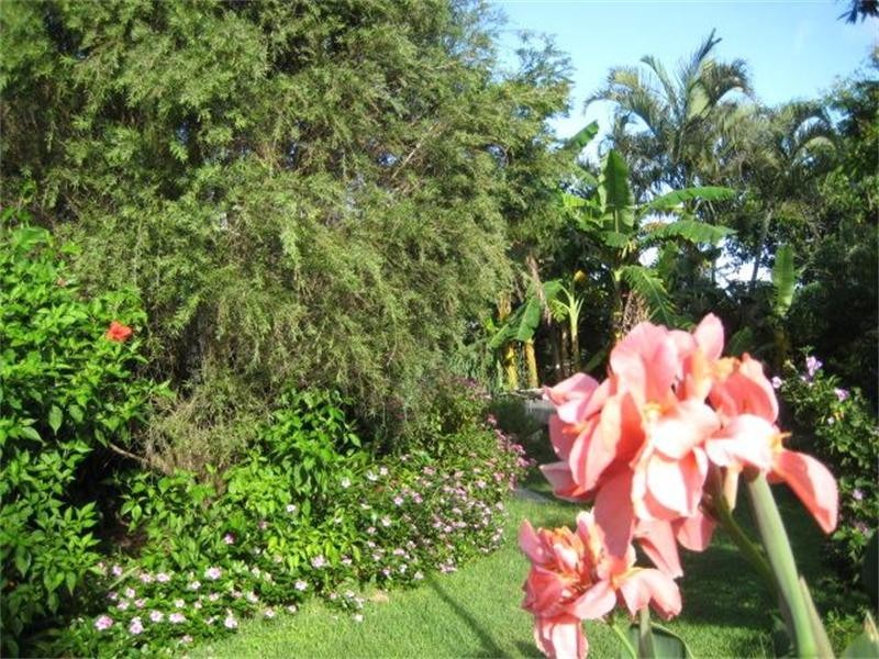 Moore Park Beach QLD 4670