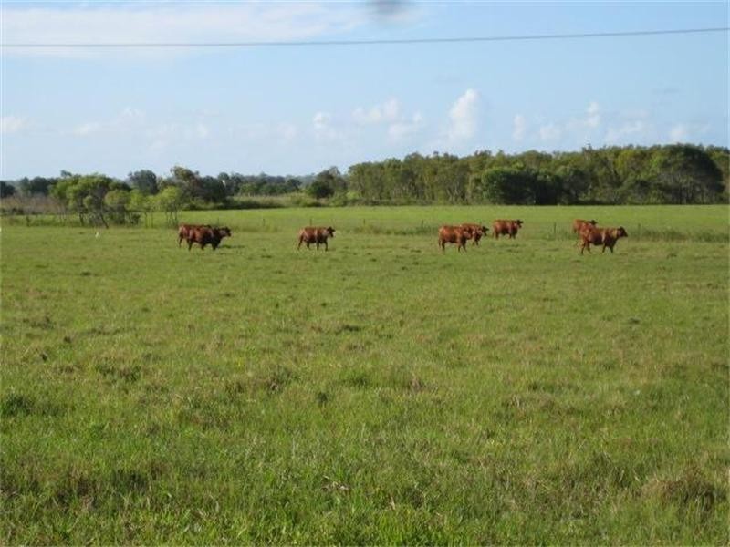 Moore Park Beach QLD 4670
