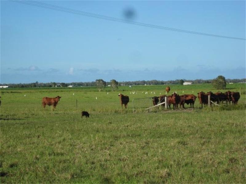 Moore Park Beach QLD 4670
