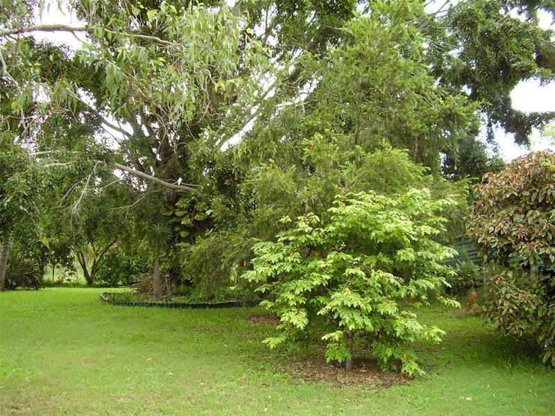 8 Callaghan Street, Rosedale QLD 4674