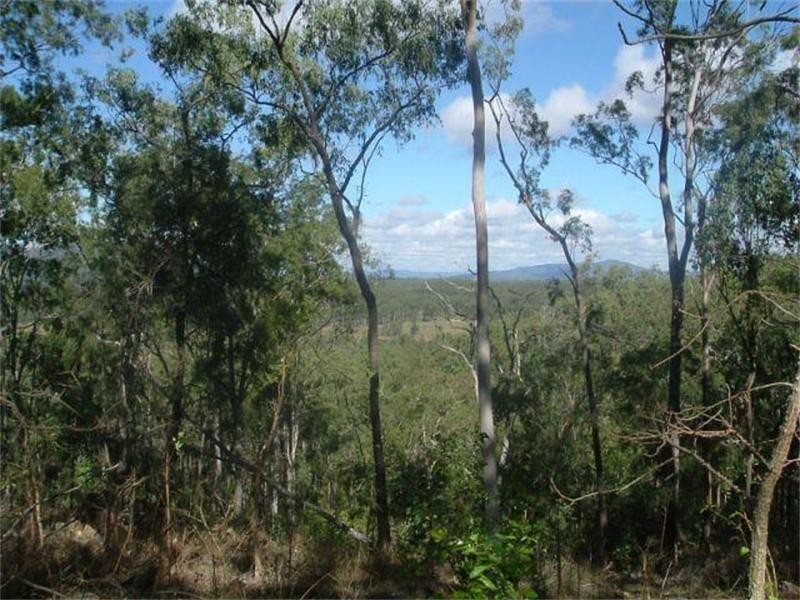 Lowmead QLD 4676