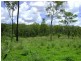 Lowmead QLD 4676