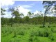 Lowmead QLD 4676