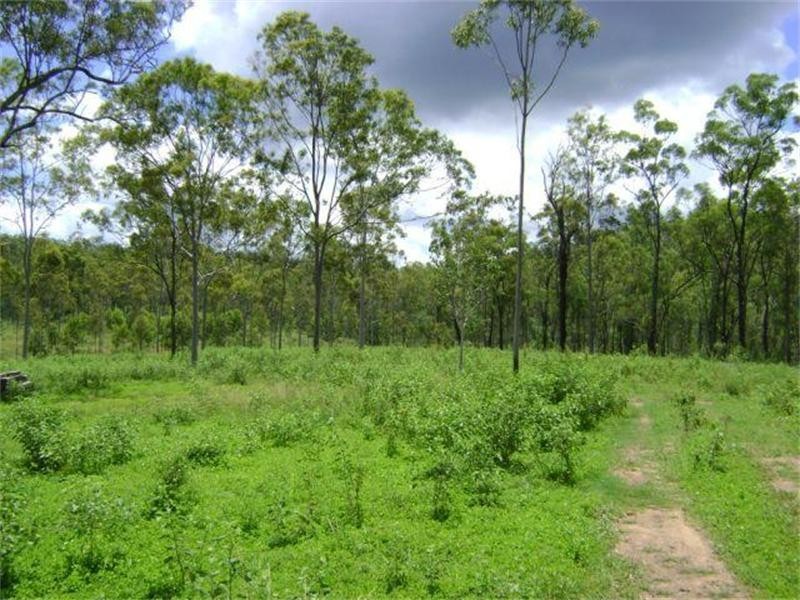 Lowmead QLD 4676
