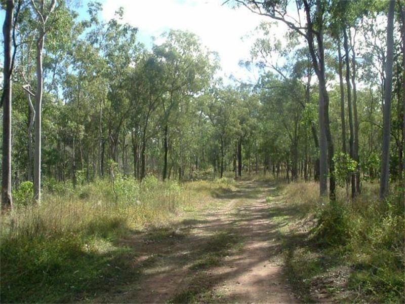 Lowmead QLD 4676