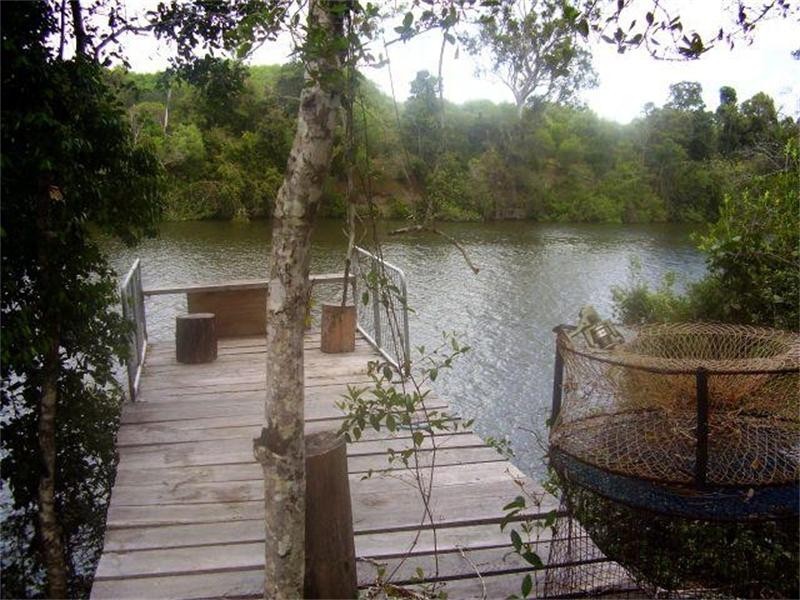 Oyster Creek QLD 4674