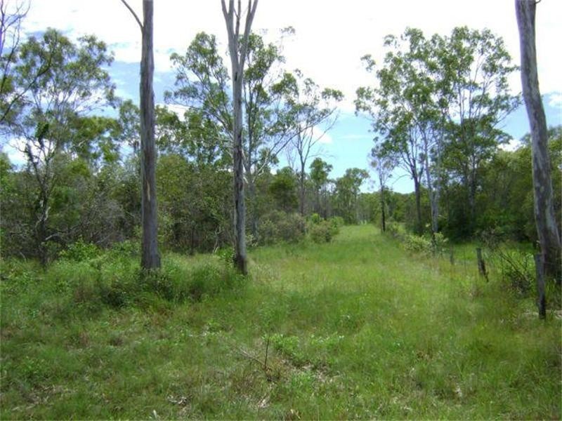 Oyster Creek QLD 4674