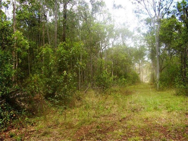 Oyster Creek QLD 4674