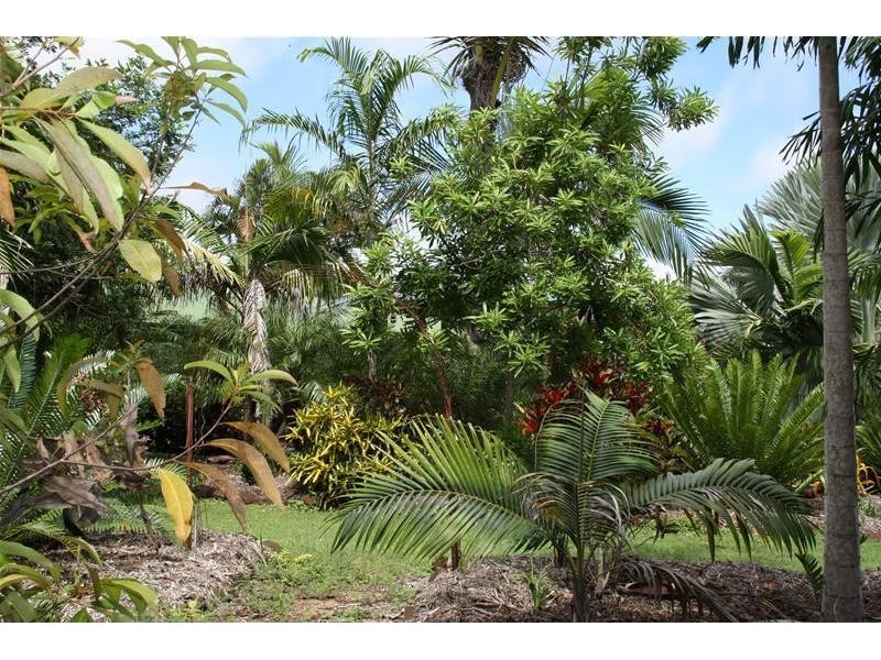 South Kolan QLD 4670