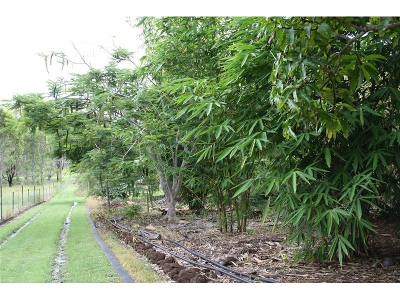 South Kolan QLD 4670