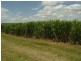 South Kolan QLD 4670