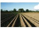 South Kolan QLD 4670