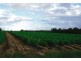 South Kolan QLD 4670