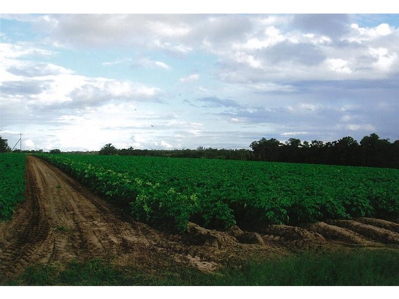 South Kolan QLD 4670