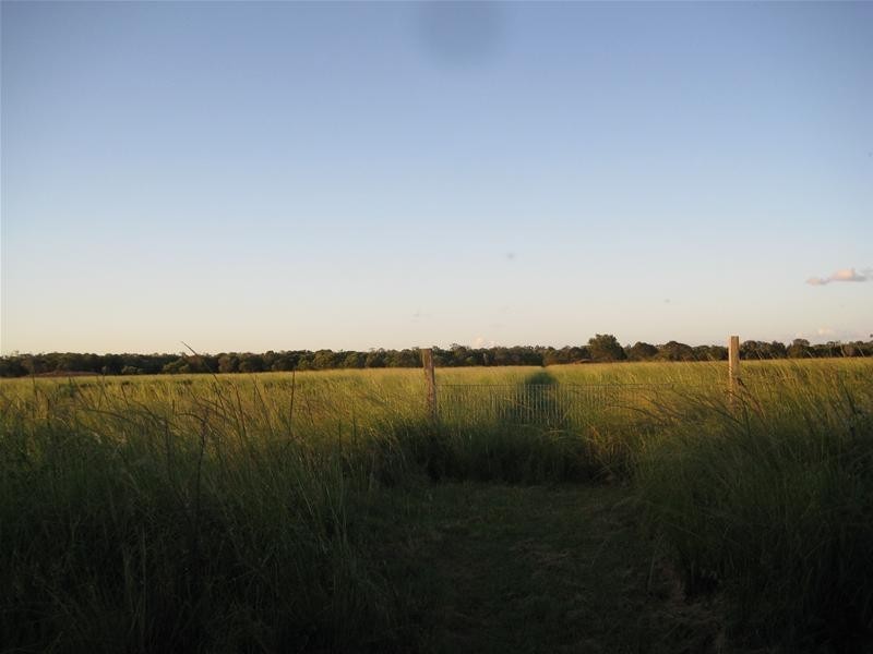 Alloway QLD 4670