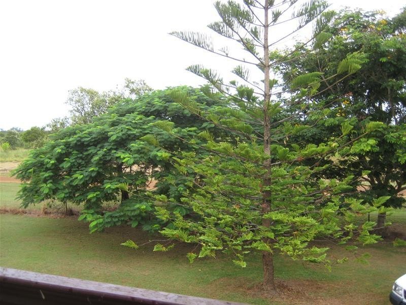 Alloway QLD 4670