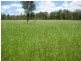 Bucca QLD 4670