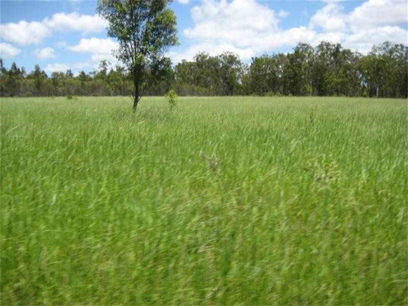 Bucca QLD 4670