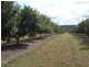 Bucca QLD 4670