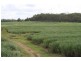 Gin Gin QLD 4671